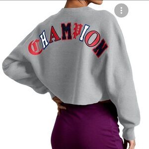 Champion Womens Sweatshirt Grey L Cropped Oversized Reverse Weave Crew Neck